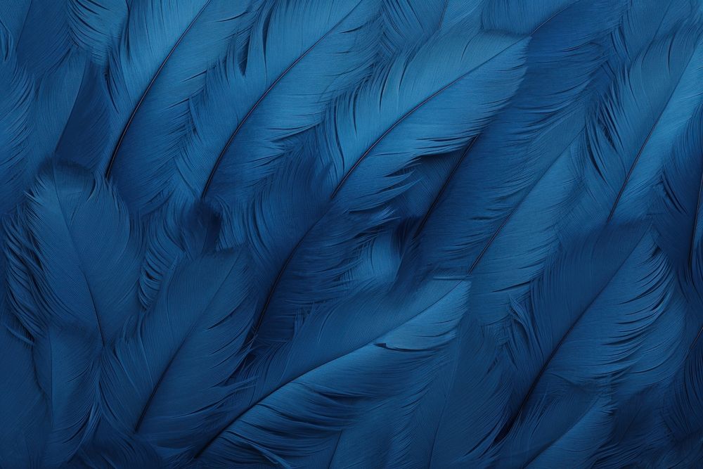 DodgerBlue Feather blue backgrounds feather.