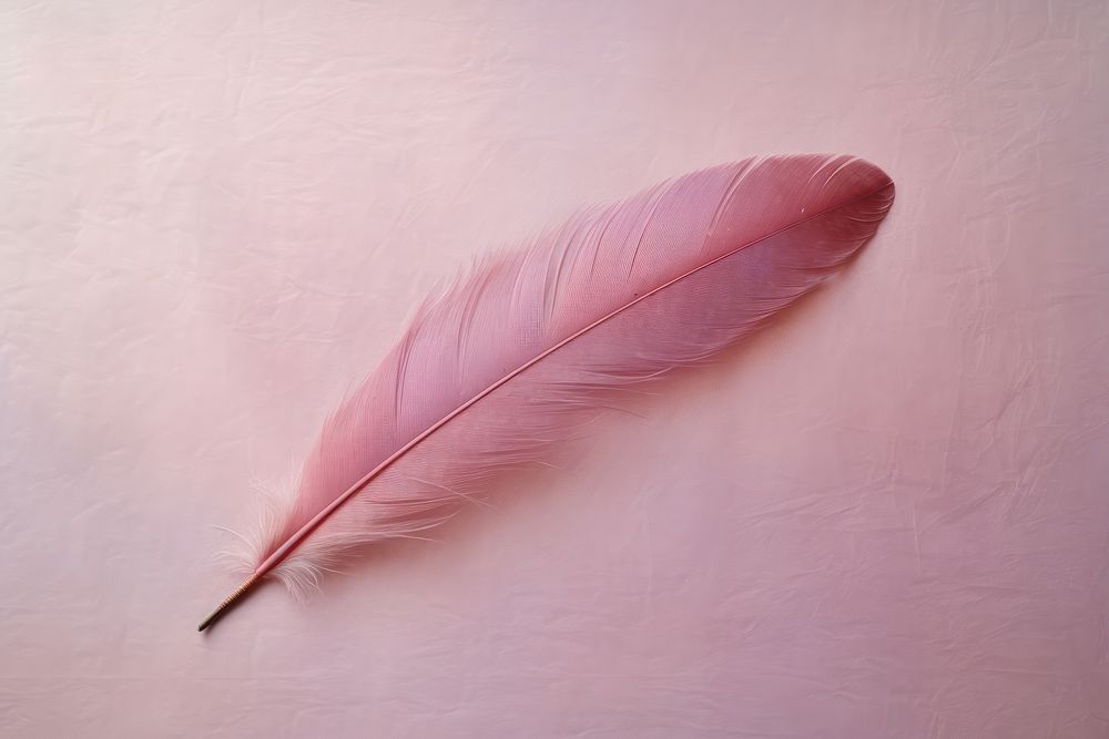 Feather deeppink pastel feather lightweight accessories.