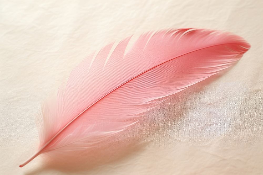 Feather deeppink pastel feather leaf lightweight.