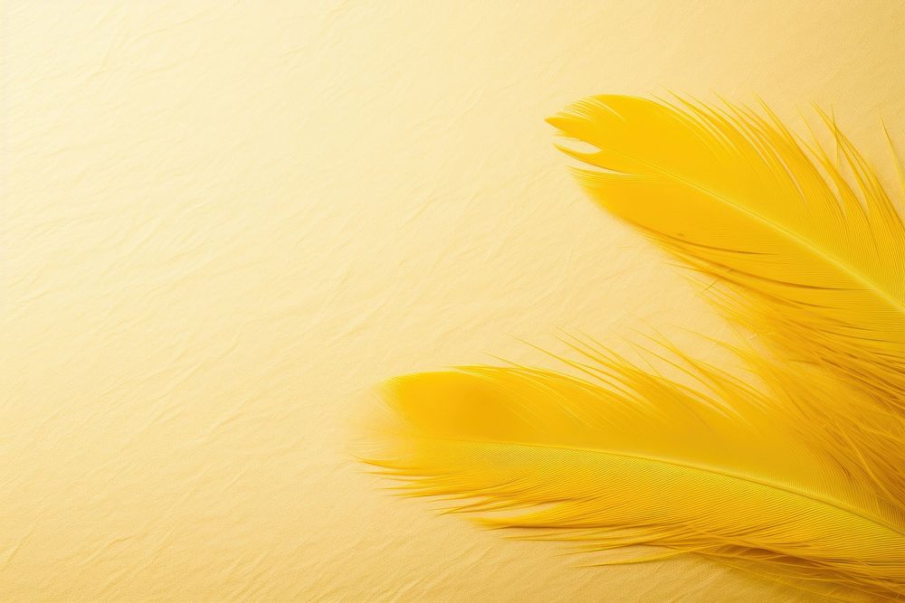 Feather PaleGoldenrod backgrounds feather yellow.