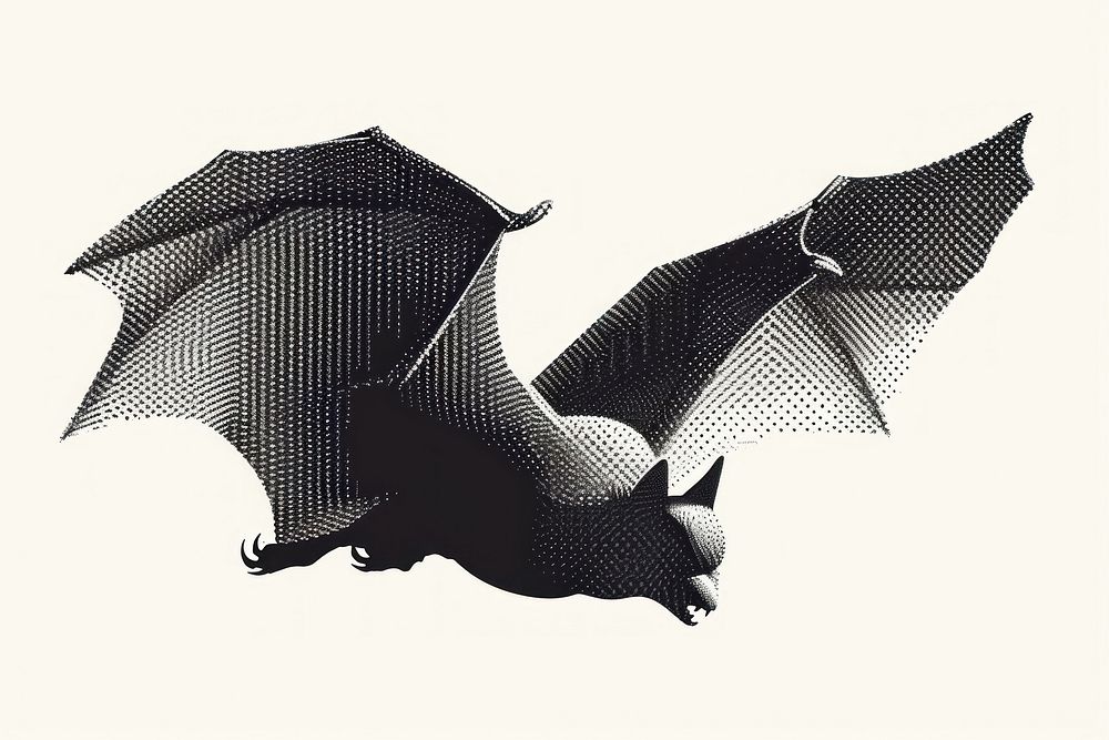 Bat bat wildlife animal.