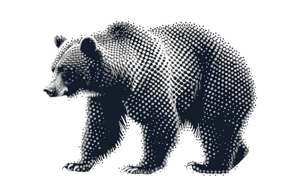 Bear bear wildlife cartoon.