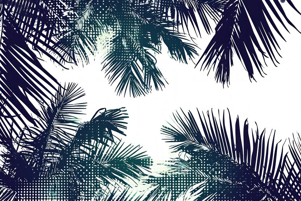 Palm leaves backgrounds outdoors nature.