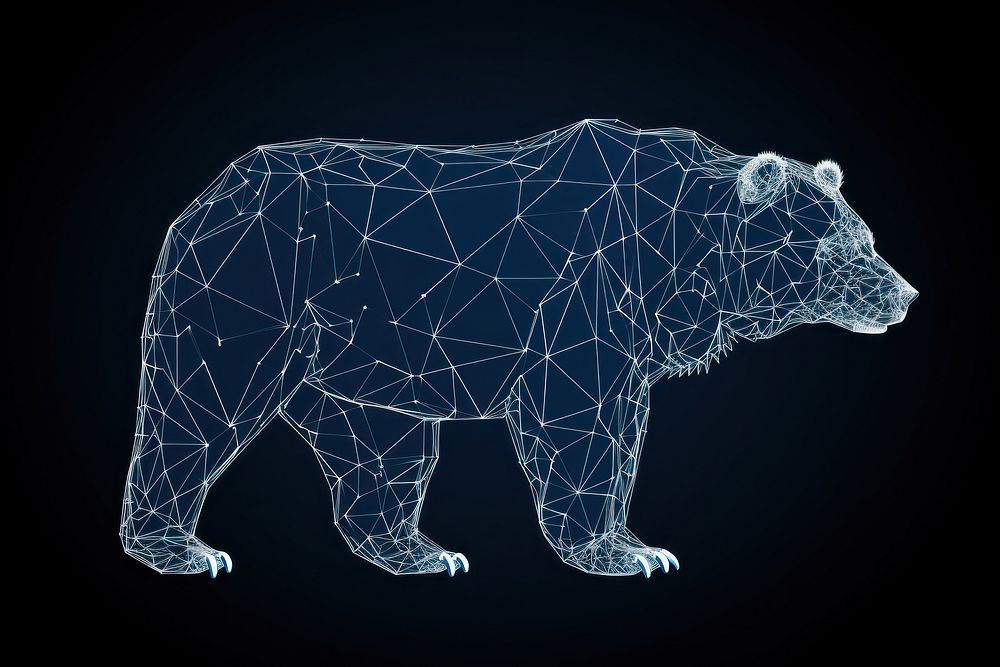 Bear bear wildlife diagram.