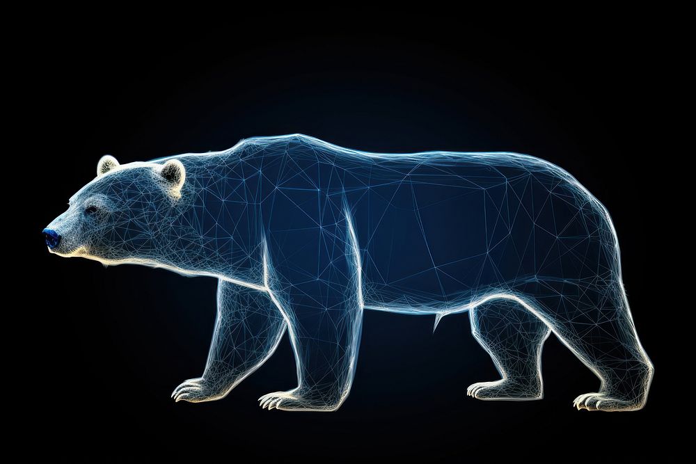 Bear bear wildlife animal.
