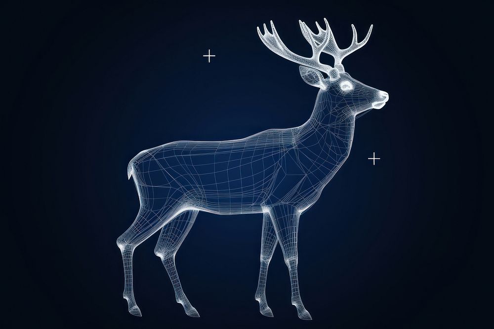 Deer diagram wildlife animal.
