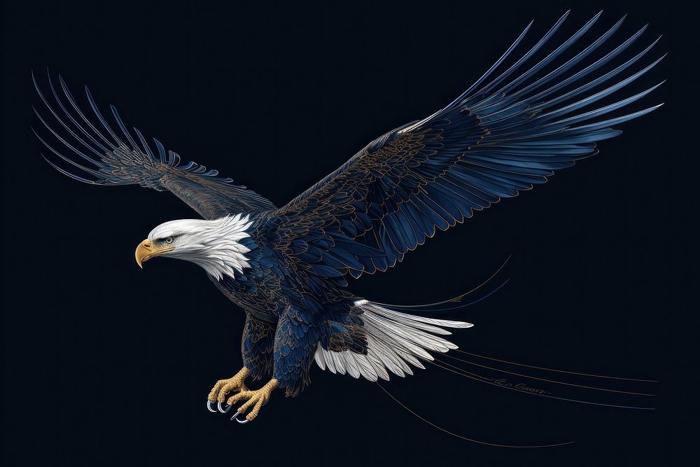 Eagle animal flying eagle.