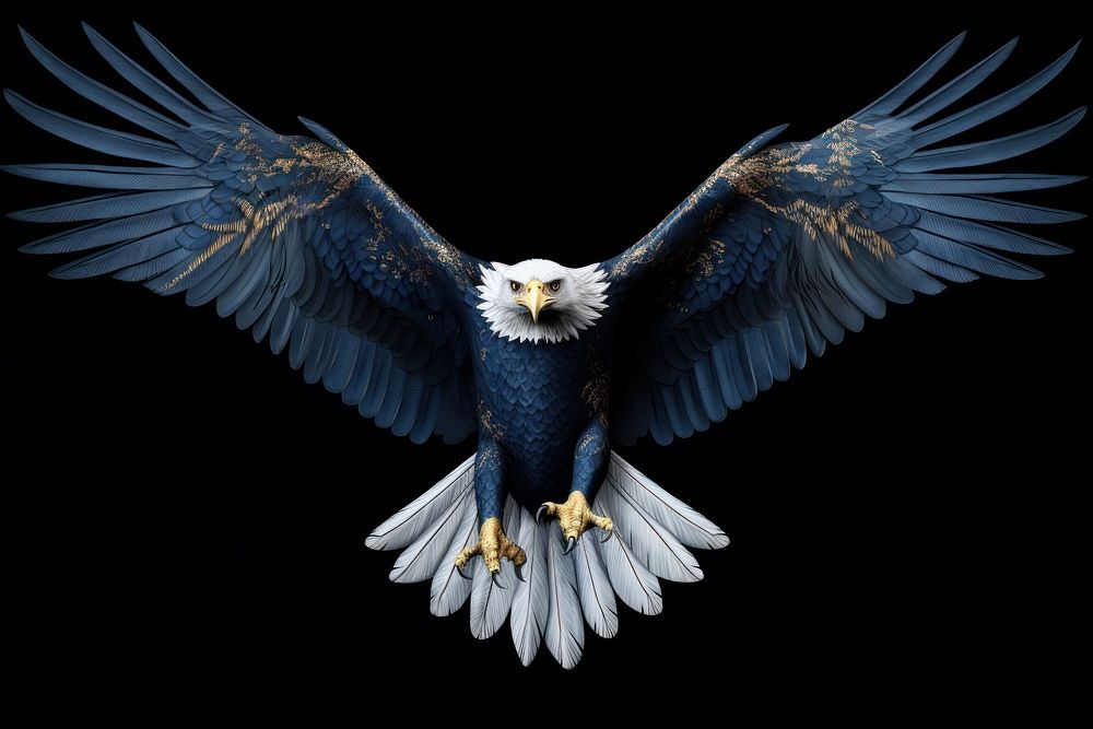 Eagle animal flying eagle.