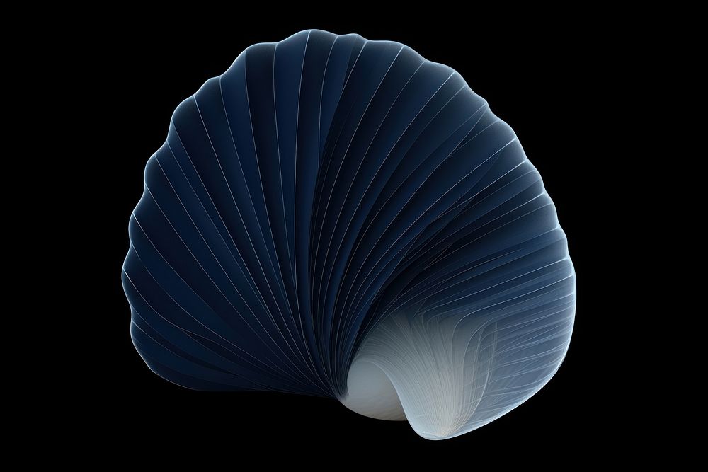 Shell blue wing invertebrate.