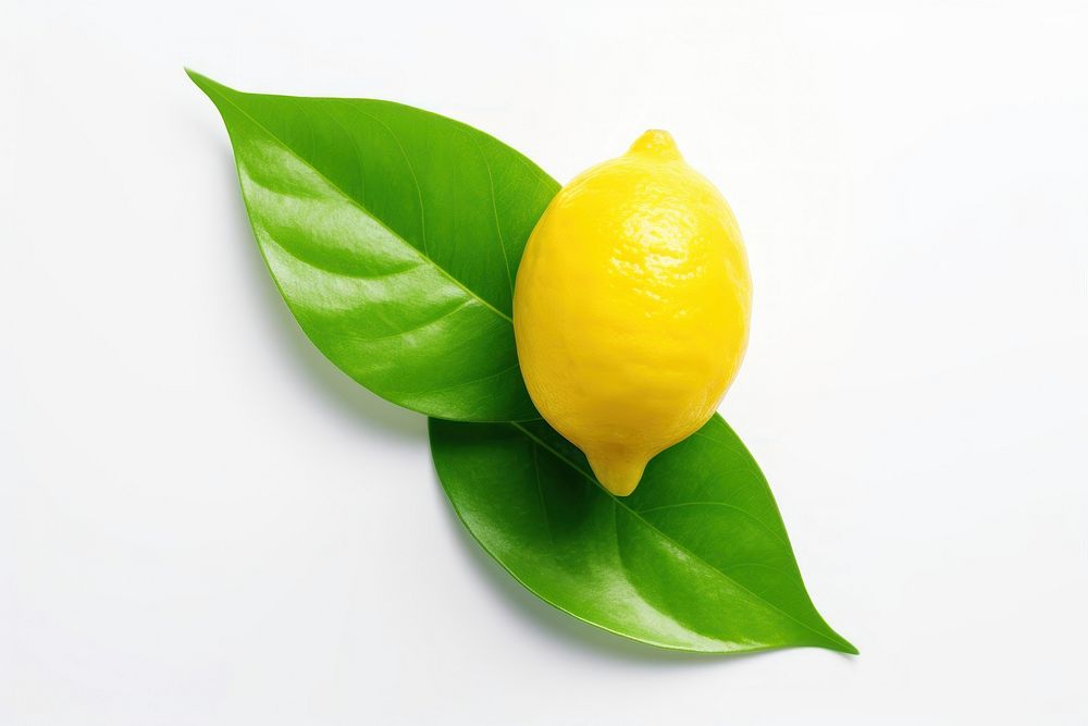 Lemon leaf fruit plant food.