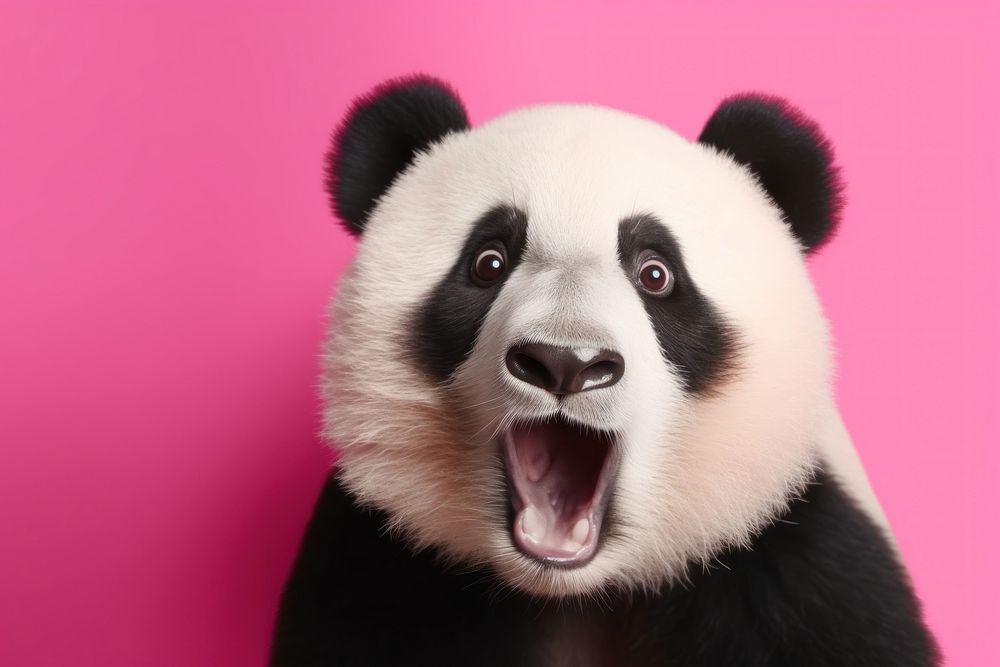 Panda animal wildlife mammal. AI generated Image by rawpixel.