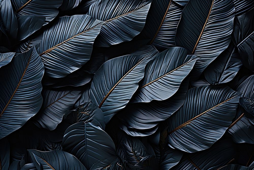 Leaf black backgrounds monochrome. AI generated Image by rawpixel.