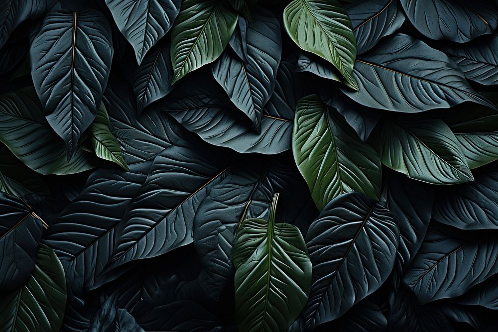 Leaf black backgrounds freshness. AI generated Image by rawpixel.