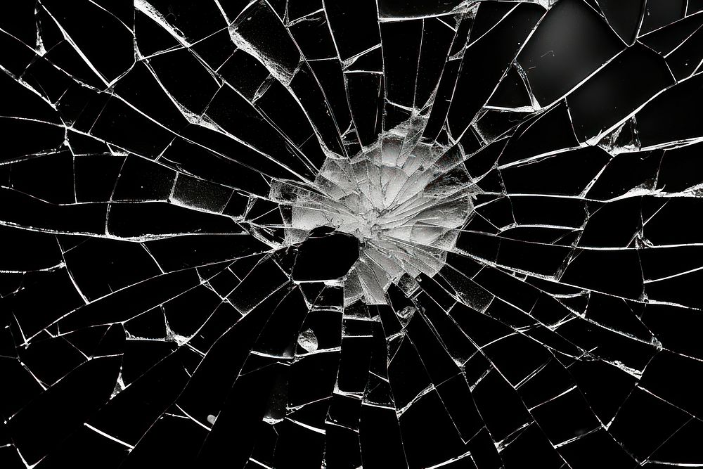 Photography of shattered glass spider black invertebrate.