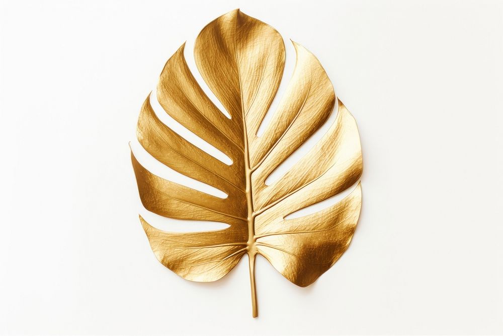 Monstera leave plant leaf gold. AI generated Image by rawpixel.