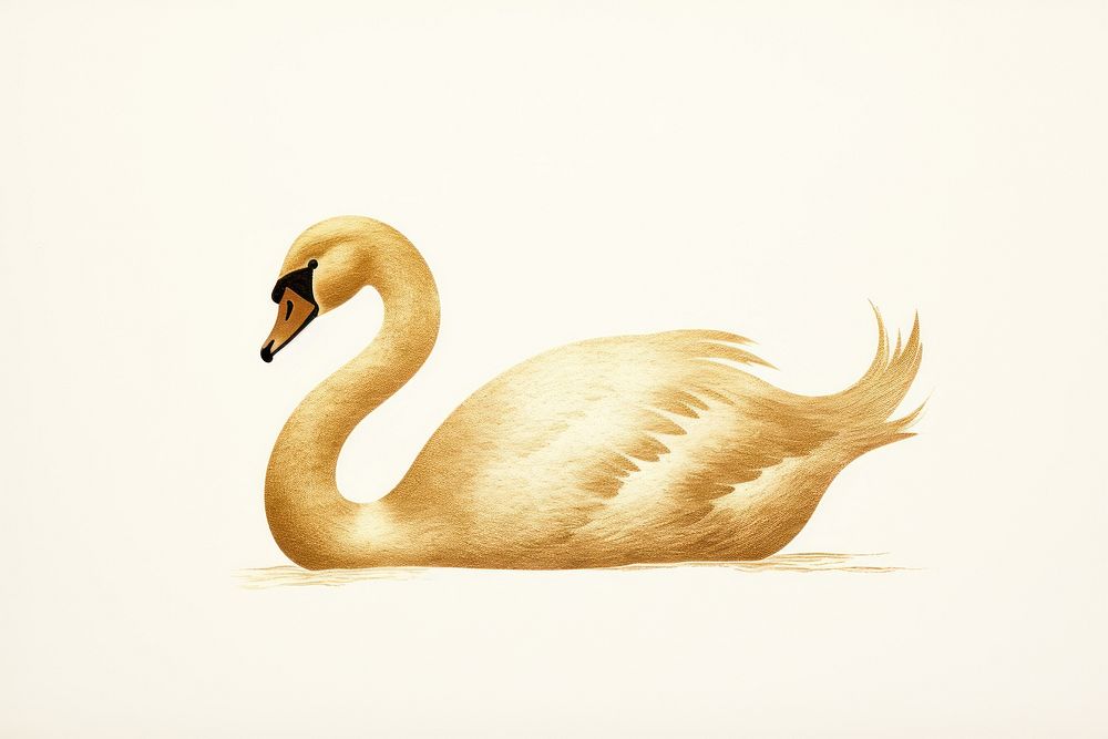 Swan animal bird beak. AI generated Image by rawpixel.