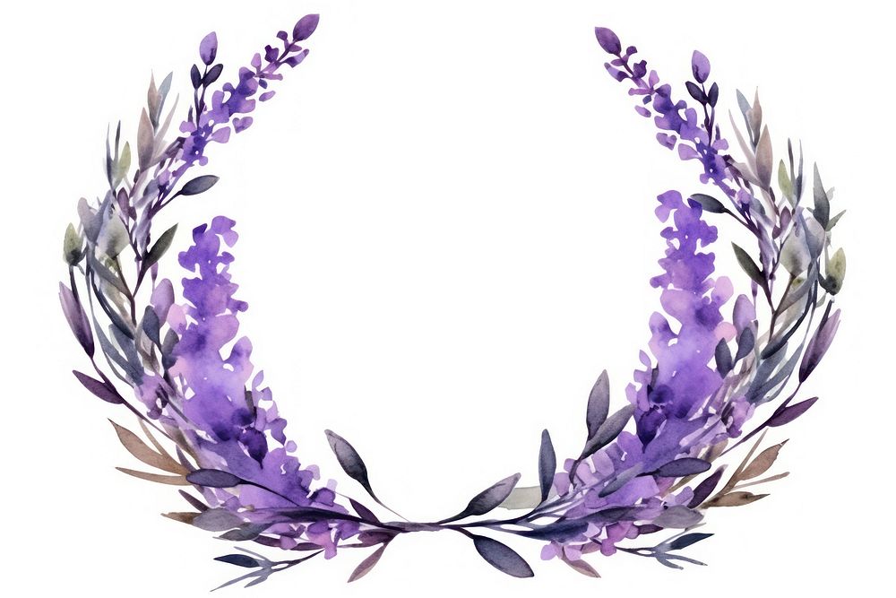 Lavender flowers lavender purple plant.