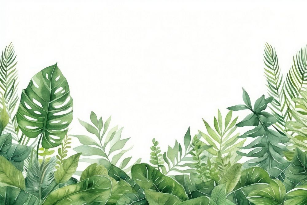 Tropical leaves green fern backgrounds.