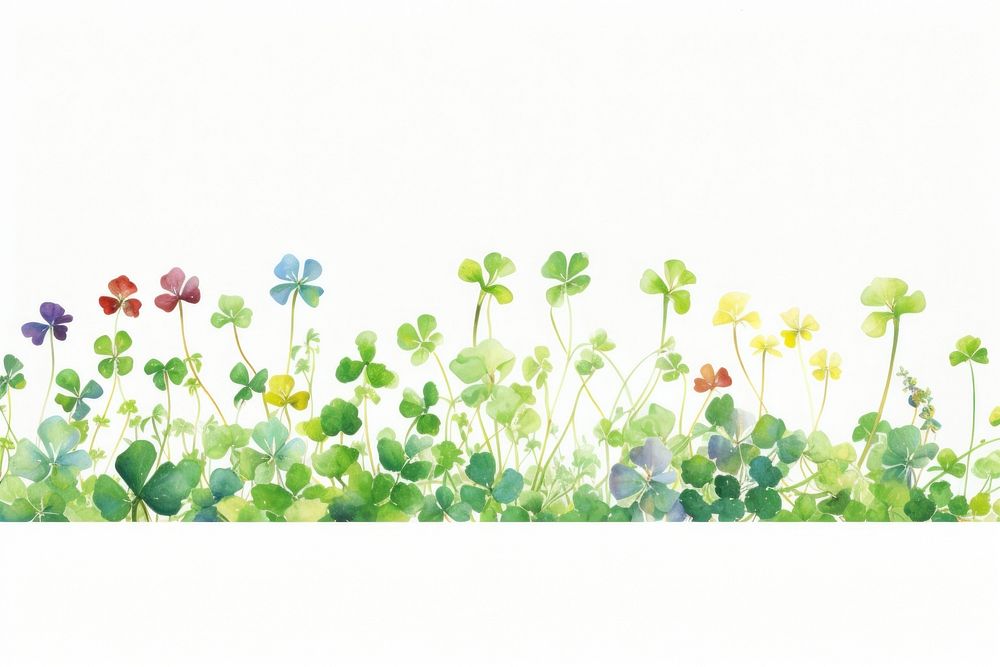 Clover border backgrounds outdoors pattern.