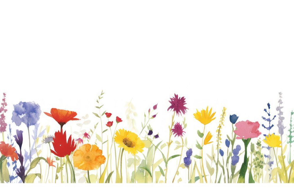 Colorful flower border backgrounds outdoors pattern.