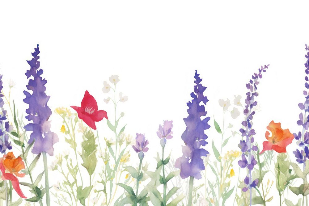 Purple flower border backgrounds lavender outdoors.