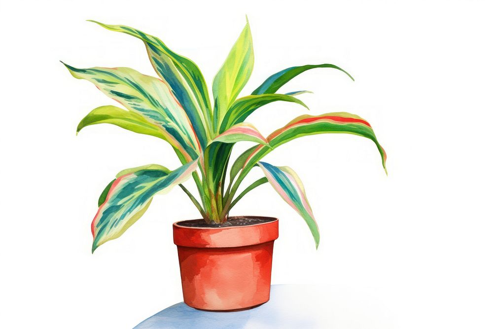 Potted plant leaf white background creativity.