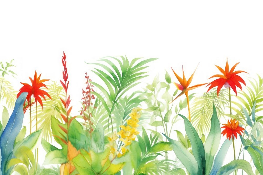 Tropical border backgrounds outdoors pattern.