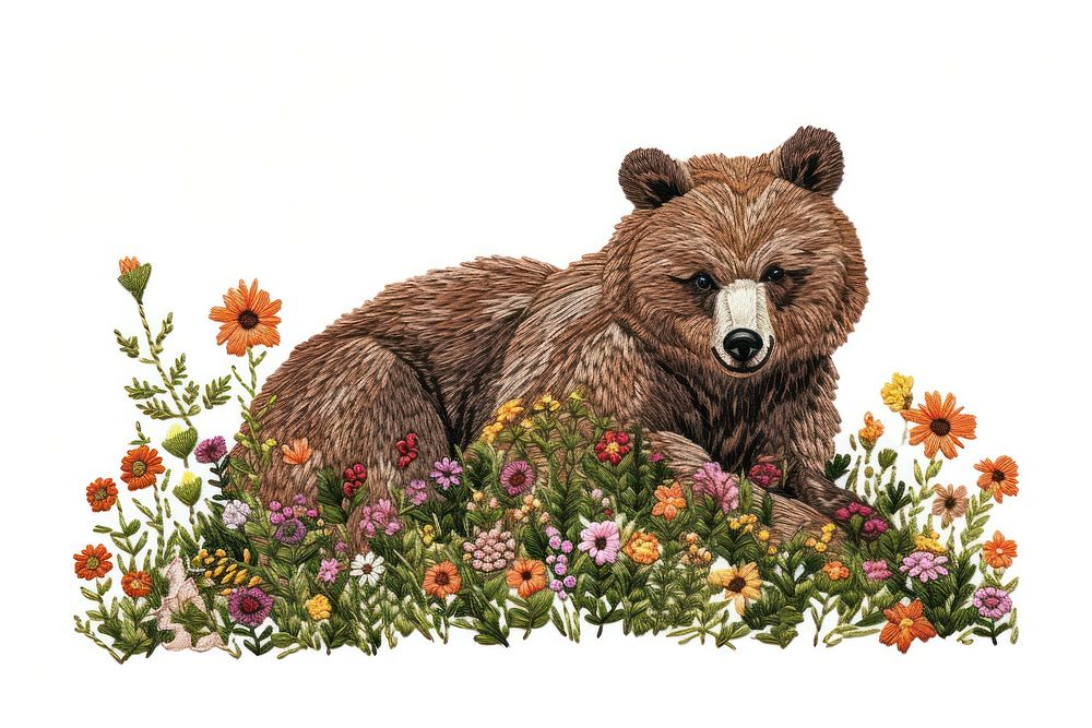A Bear flower bear wildlife.