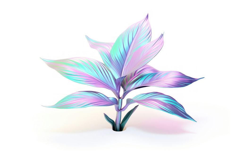 Plant iridescent flower petal leaf.