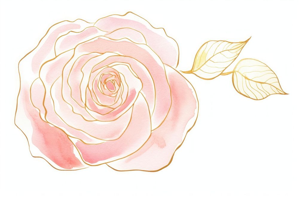 Watercolor rose and thin golden glitter outline stroke flower petal plant.