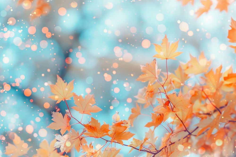 Autumn maple leaves pattern bokeh effect background backgrounds plant leaf.