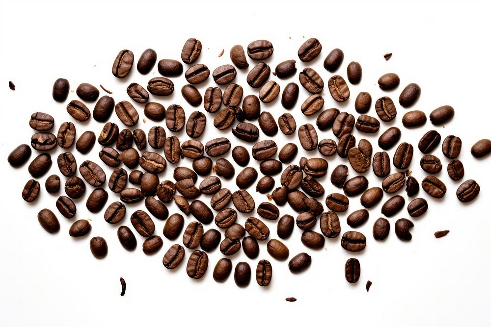 Coffee beans symbol backgrounds white background freshness.