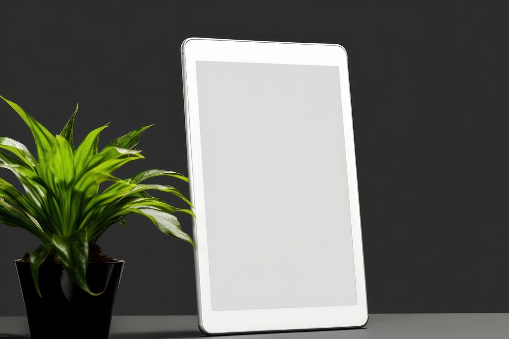 White blank tablet   computer plant electronics.