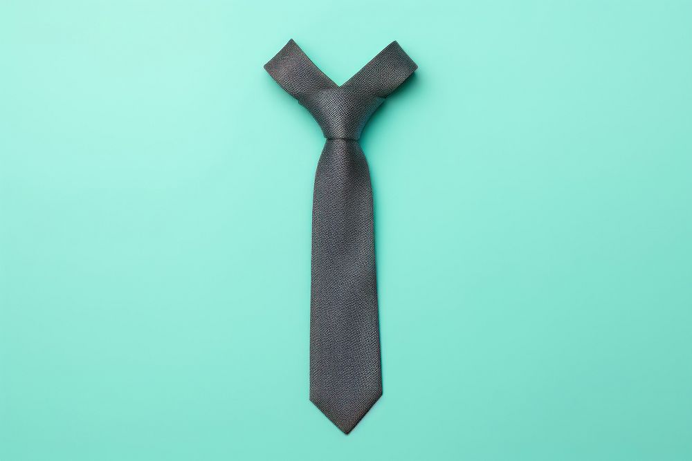Blank necktie  accessories simplicity accessory.
