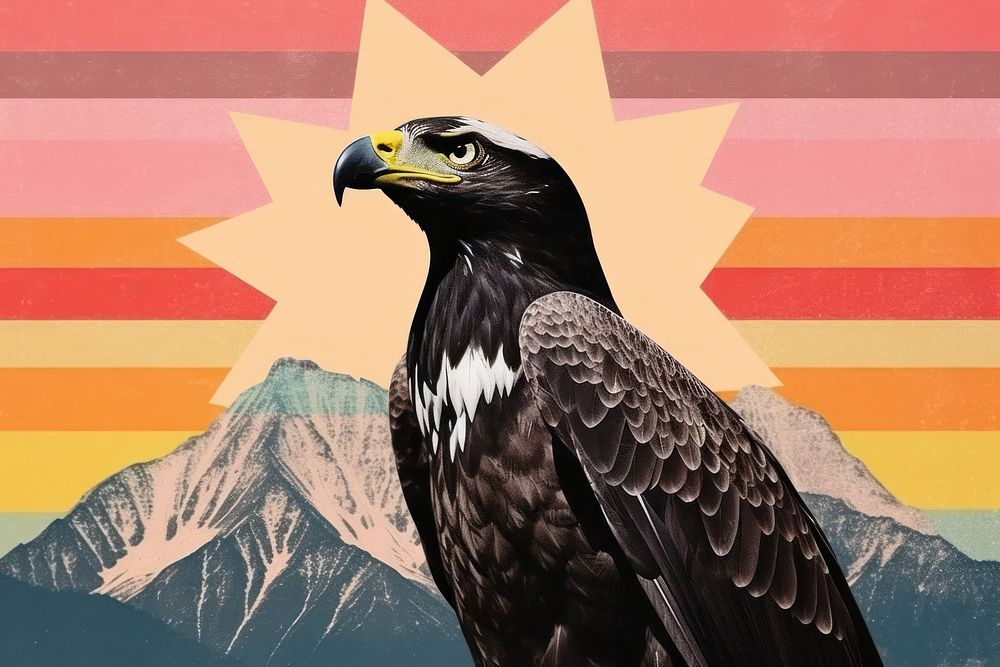 Collage Retro dreamy eagle vulture animal bird.