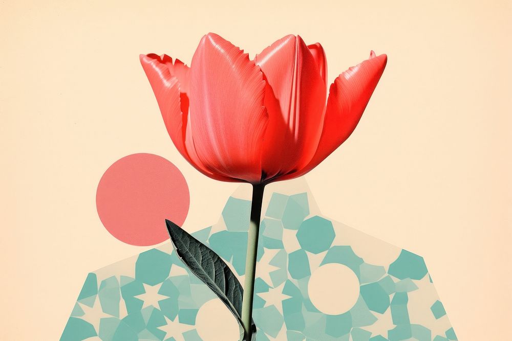 Collage Retro dreamy tulip art flower plant.