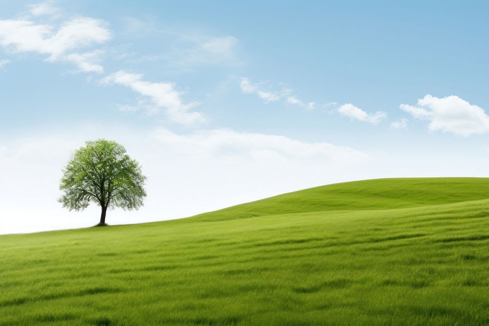 Hilly Grass Field Tree Landscape Premium Photo Rawpixel 0459