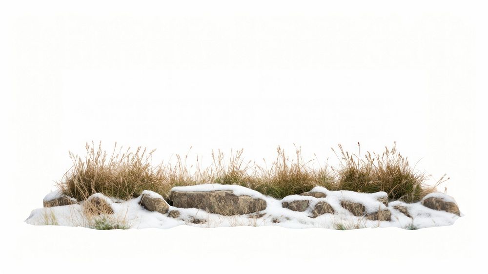 Rocky snowy grass field nature landscape outdoors. AI generated Image by rawpixel.
