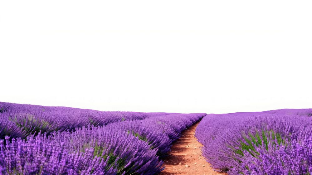 White background nature backgrounds landscape. | Premium Photo - rawpixel
