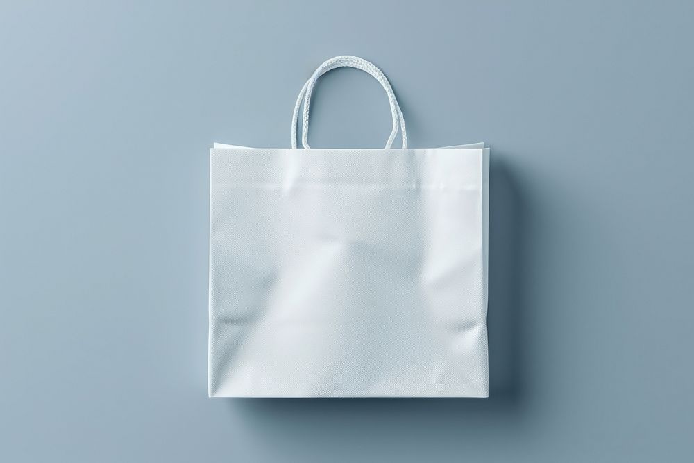 Gift bag  handbag white accessories.