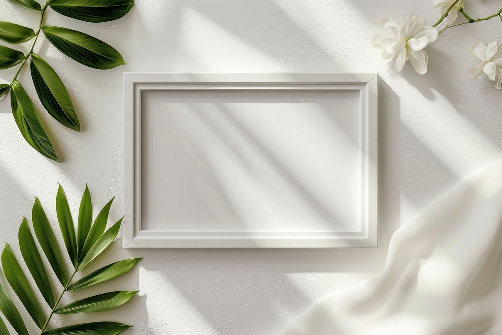 Picture frame  backgrounds plant white.