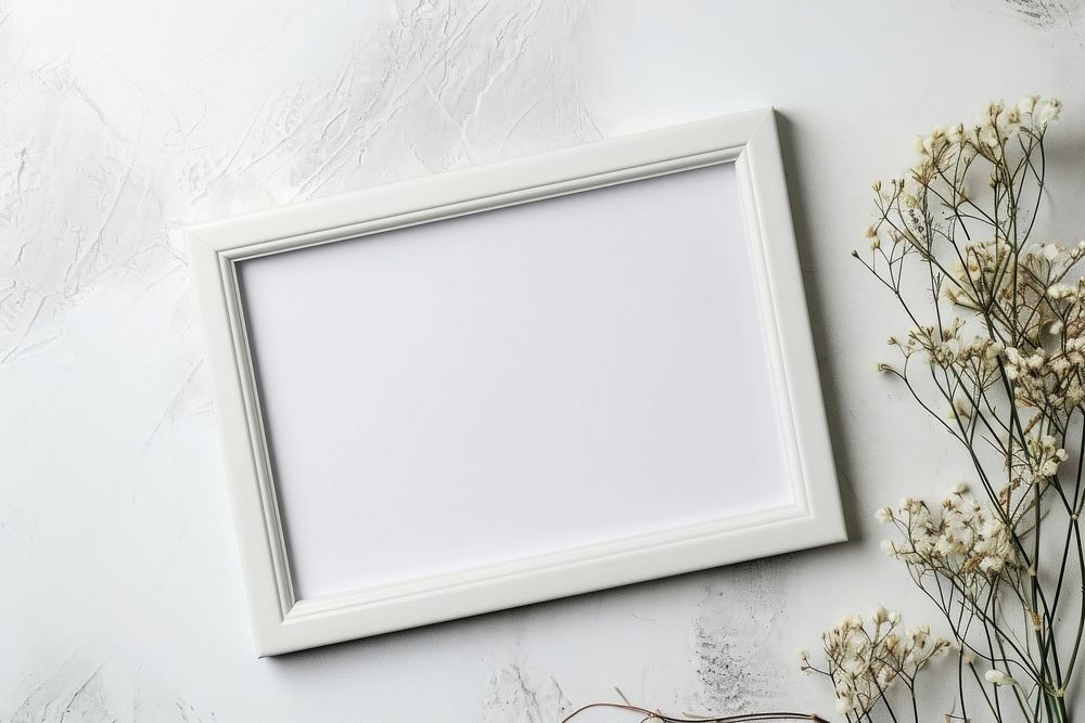 Picture frame  white rectangle painting.