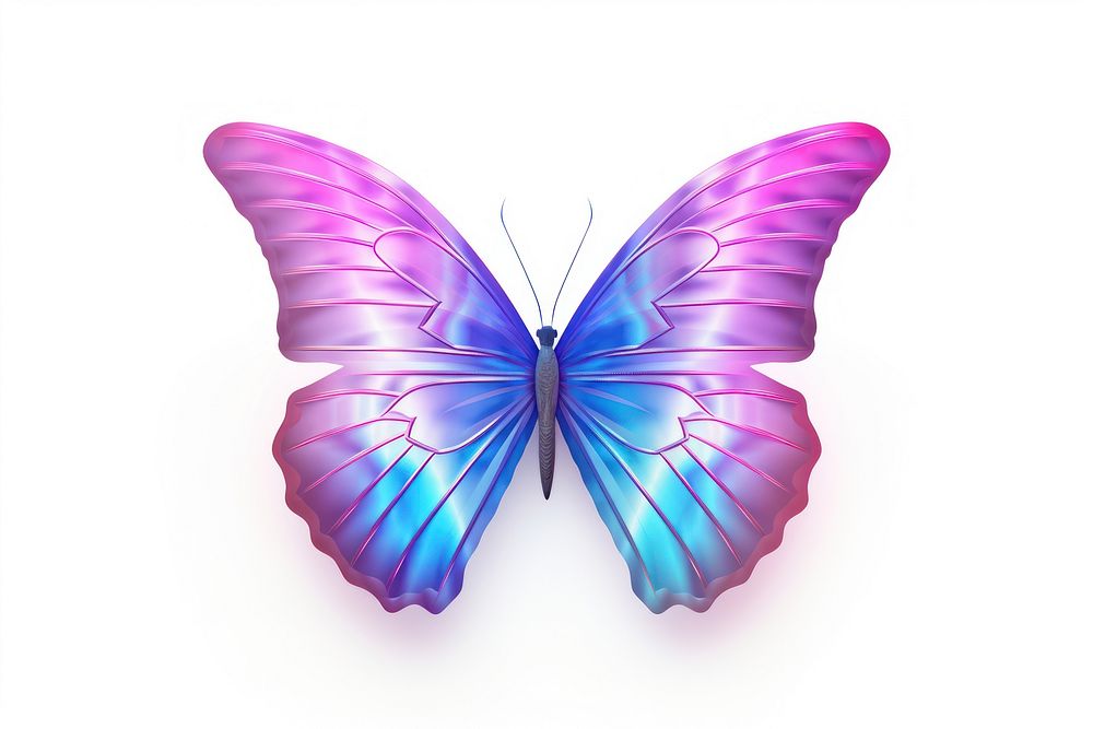 Icon iridescent butterfly animal insect.