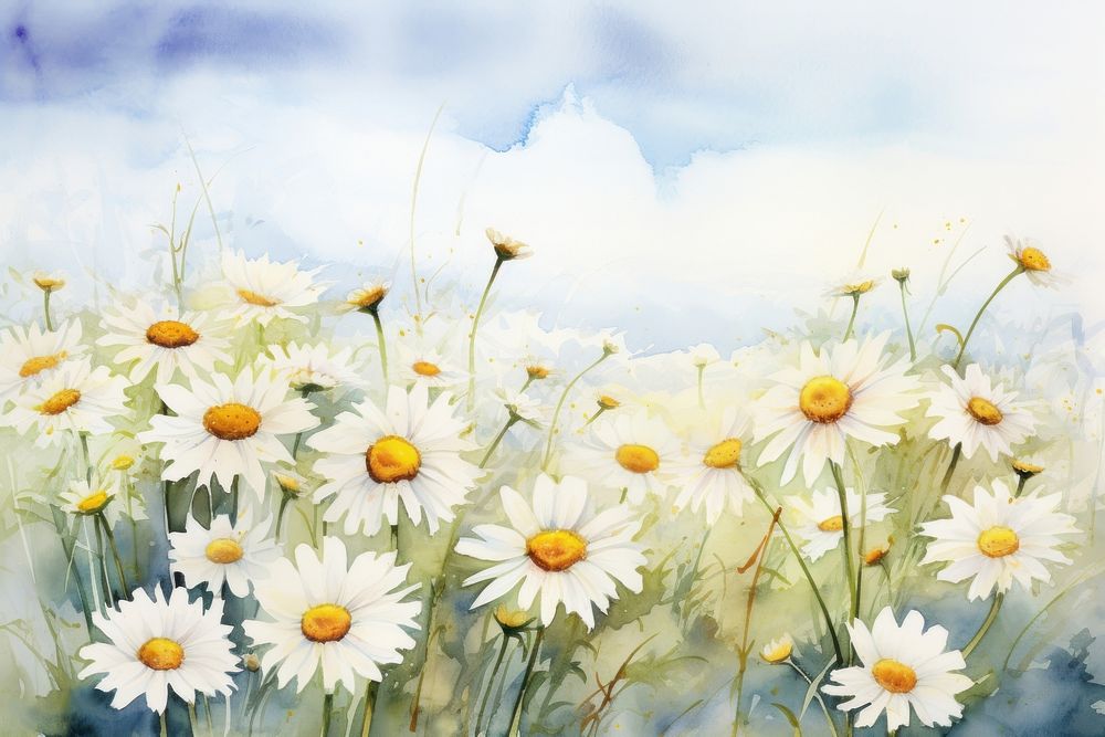 Daisy garden backgrounds outdoors painting.