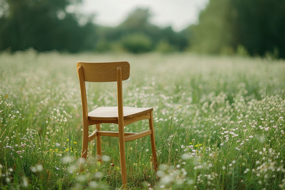 Front view wood chair packaging  nature field grassland.