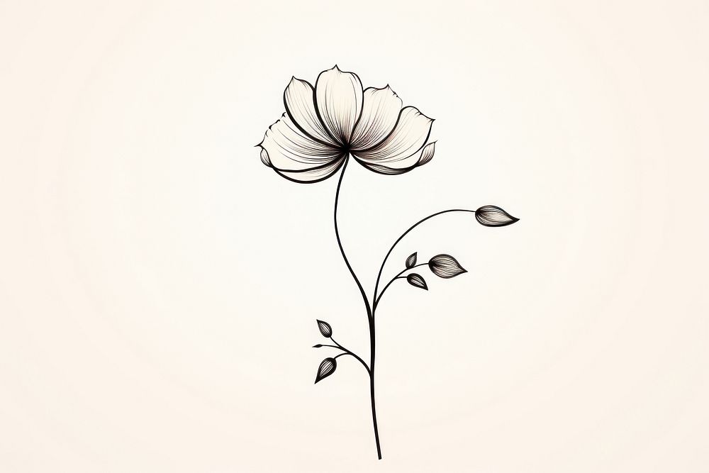 Doodle flower drawing pattern sketch. AI generated Image by rawpixel.