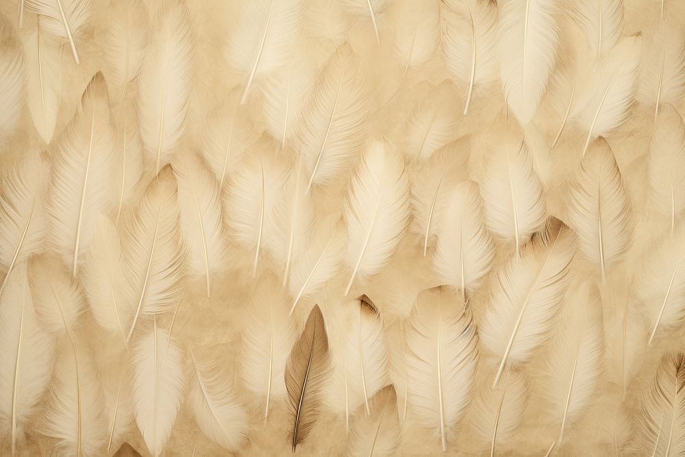 Feather paper backgrounds feather flooring.