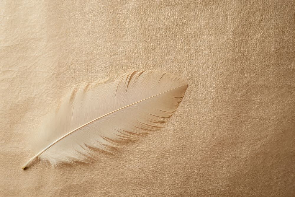 Feather paper feather lightweight softness.
