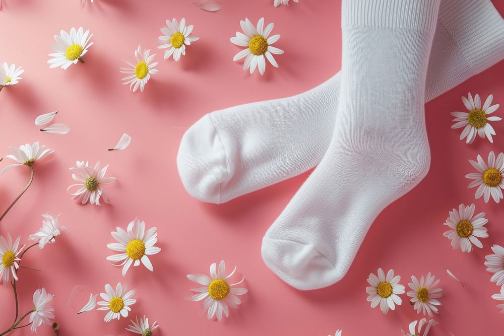 Socks packaging  daisy flower white.
