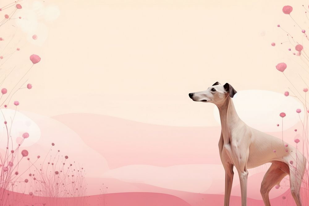  Cute background backgrounds greyhound animal. AI generated Image by rawpixel.